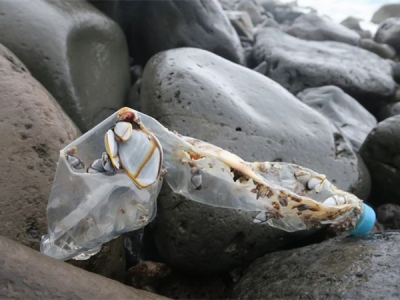 證明“海洋塑料”，需要遵循哪些標準？