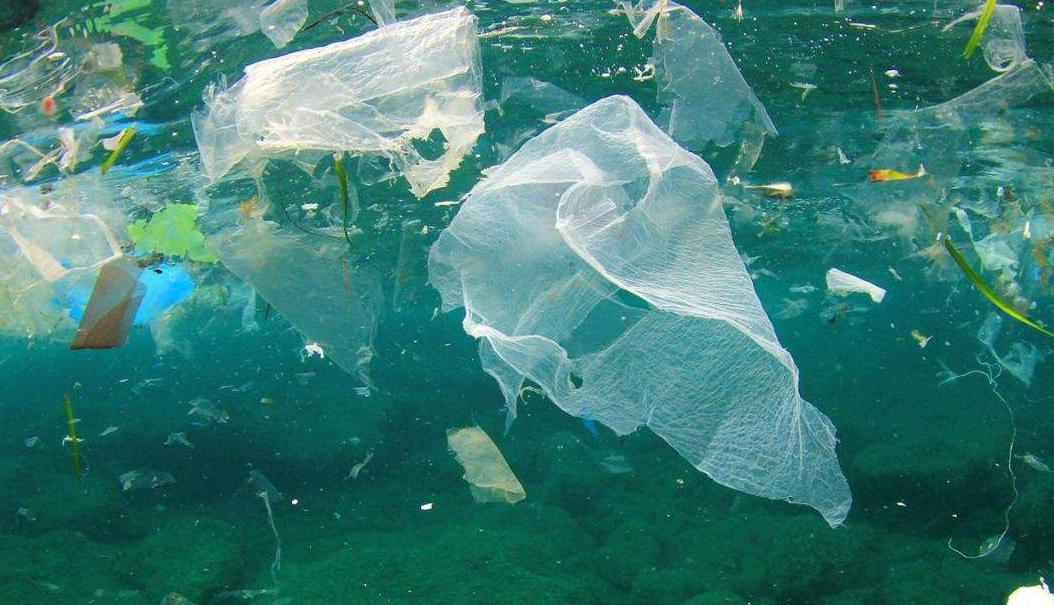 PCR材料供應(yīng)商